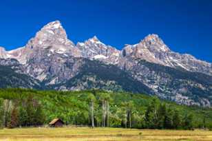 The Grand Tetons-7549.jpg